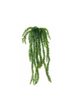 Artificial Lycopodium 70cm -Artificial Plant Shop the artificial plants shop artificial lycopodium 70cm p725 1670 image