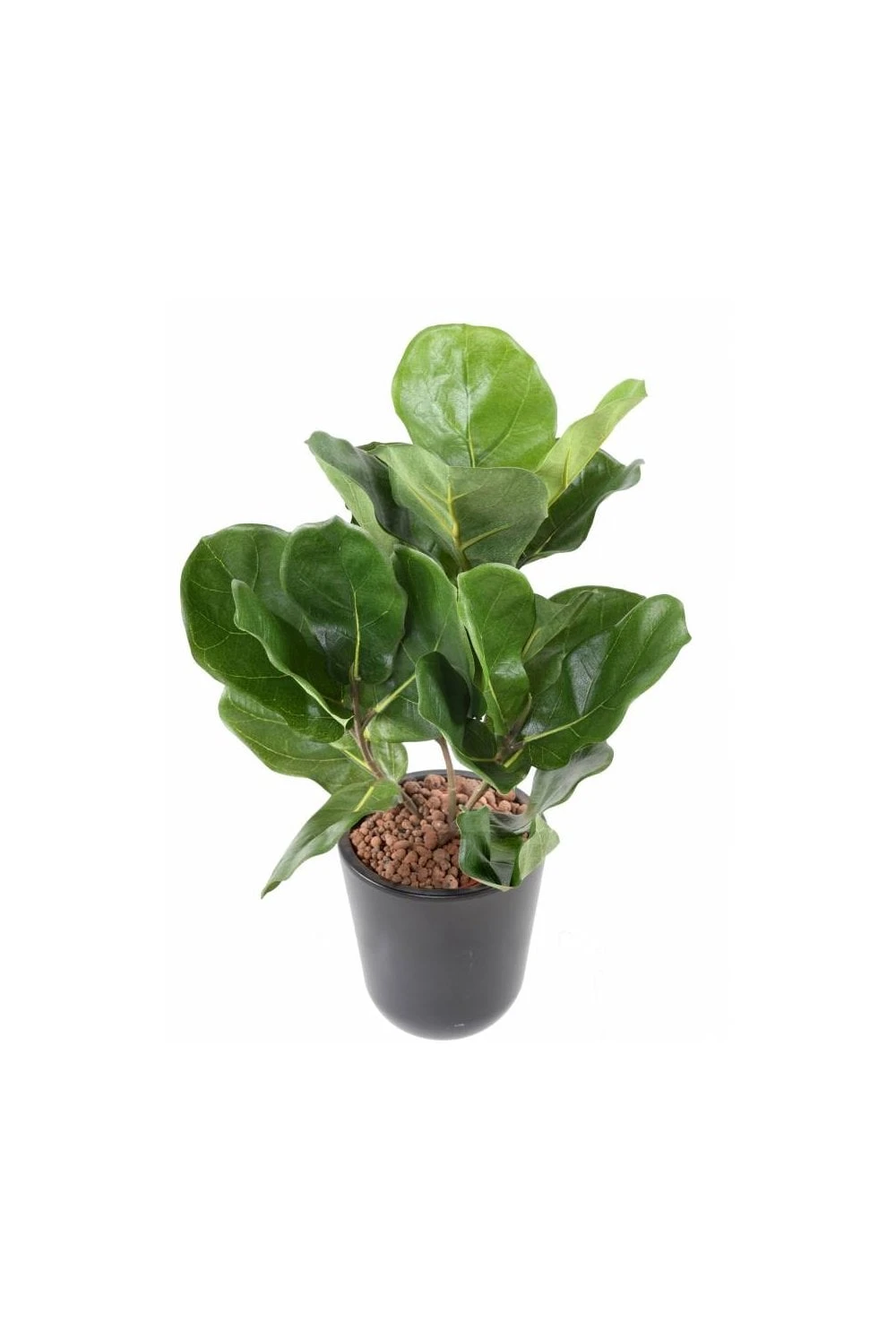 Artificial Lyrata Succulent Mini 44cm 4 Artificial Lyrata Succulent Mini 44cm - Image 2