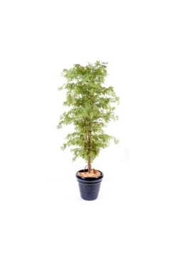 Artificial Maple Tree Light Foliage