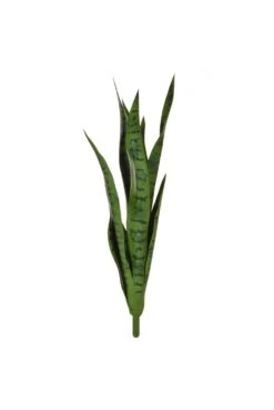 Artificial Mother In Laws Tongue Green