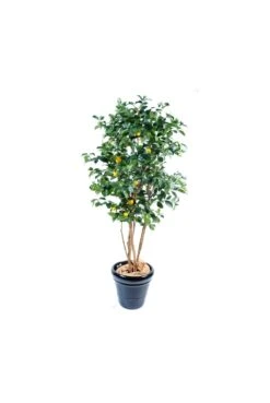 Artificial Multi Stem Lemon Tree