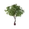 Artificial Oak Tree With Curved Stem 1 Artificial Oak Tree With Curved Stem -Artificial Plant Shop the artificial plants shop artificial oak tree with curved stem p142 356 image