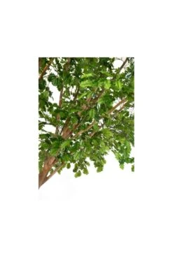 Artificial Oak Tree With Curved Stem -Artificial Plant Shop the artificial plants shop artificial oak tree with curved stem p142 357 image
