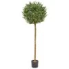 Artificial Olive Ball Tree 1.5m/5ft -Artificial Plant Shop the artificial plants shop artificial olive ball tree 1 5m 5ft p719 1650 image