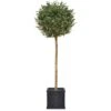 Artificial Olive Ball Tree Arrangement -Artificial Plant Shop the artificial plants shop artificial olive ball tree arrangement p323 723 image
