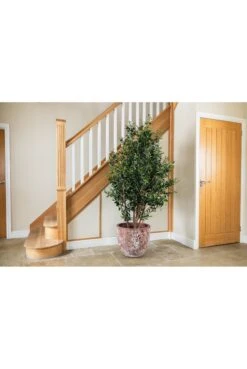 Artificial Olive Bush