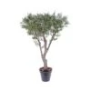 Artificial Olive Multi Branch Tree -Artificial Plant Shop the artificial plants shop artificial olive multi branch tree p109 275 image
