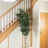 Artificial Olive Multi-Slim Trunk Tree -Artificial Plant Shop the artificial plants shop artificial olive multi slim trunk tree p115 2560 image