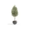 Artificial Olive Pyramid Tree (170cm) -Artificial Plant Shop the artificial plants shop artificial olive pyramid tree 170cm p497 1152 image