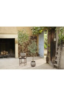 Artificial Olive Tree Available In 3 Sizes