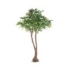Artificial Orange Double Trunk Tree -Artificial Plant Shop the artificial plants shop artificial orange double trunk tree p126 318 image