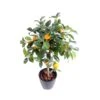Artificial Orange Mini Head Tree -Artificial Plant Shop the artificial plants shop artificial orange mini head tree p120 302 image