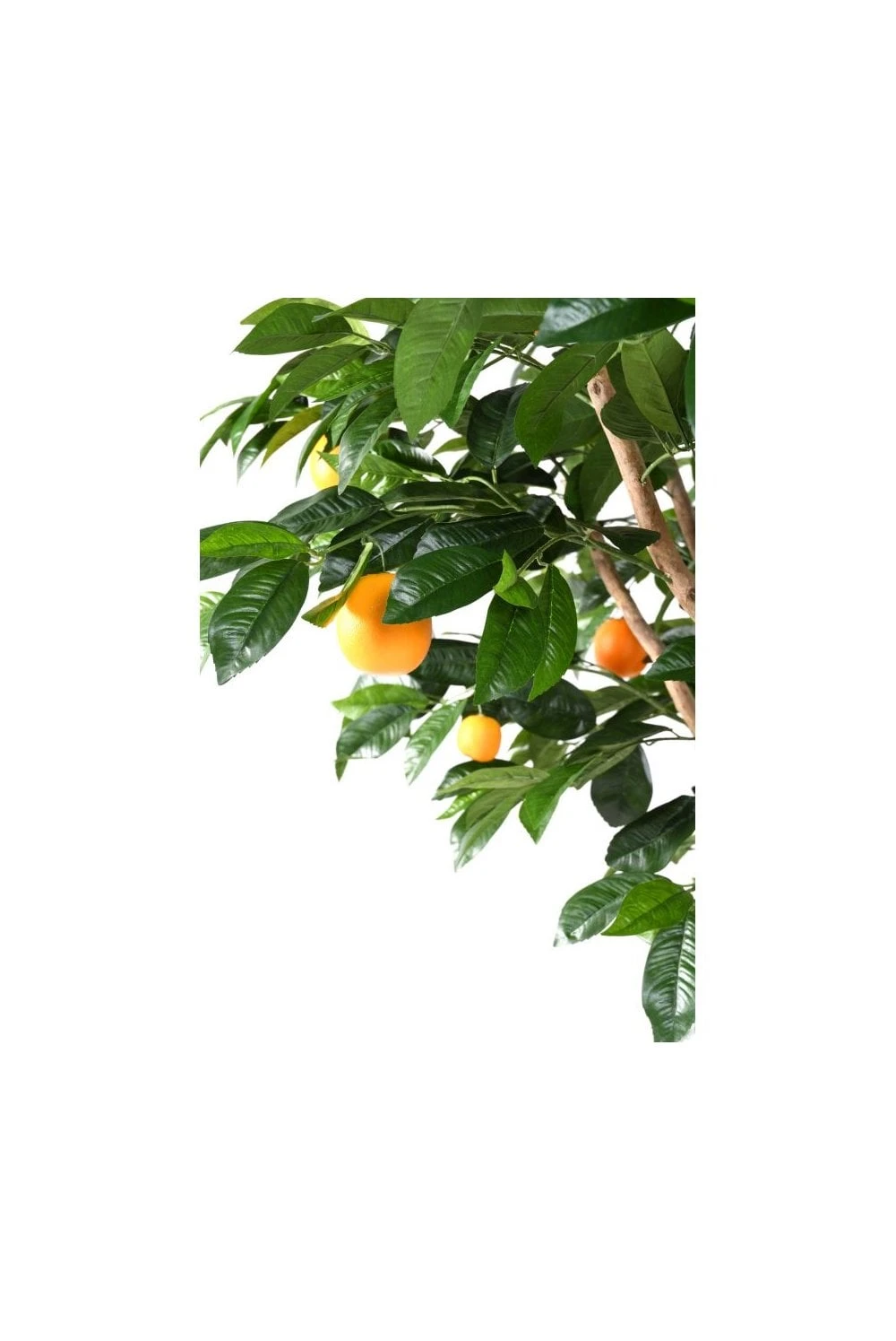Artificial Orange Multi-Branch Tree 4 Artificial Orange Multi-Branch Tree - Image 2