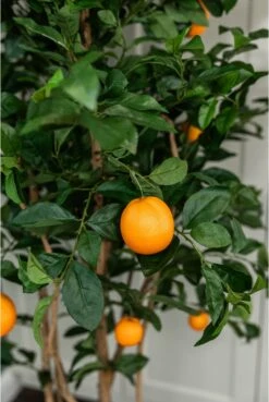 Artificial Orange Multi-Stem Tree -Artificial Plant Shop the artificial plants shop artificial orange multi stem tree p121 2503 zoom