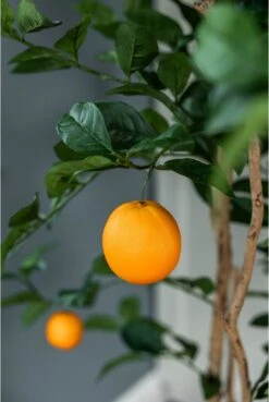 Artificial Orange Multi-Stem Tree -Artificial Plant Shop the artificial plants shop artificial orange multi stem tree p121 2504 zoom