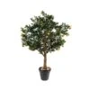 Artificial Orange Tree 210cm -Artificial Plant Shop the artificial plants shop artificial orange tree 210cm p400 891 image
