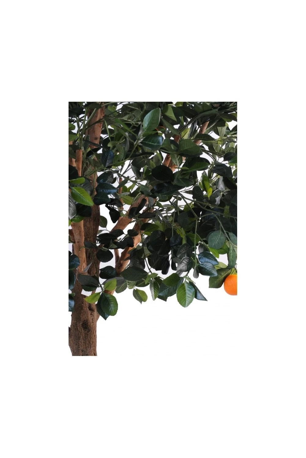 Artificial Orange Tree 210cm 4 Artificial Orange Tree 210cm - Image 2