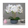 Artificial Orchid Display 45cm 2 Artificial Orchid Display 45cm -Artificial Plant Shop the artificial plants shop artificial orchid display 45cm p760 1724 image