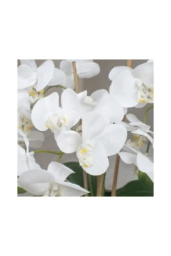 Artificial Orchid Display 45cm -Artificial Plant Shop the artificial plants shop artificial orchid display 45cm p760 1726 image