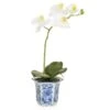 Artificial Orchid Display In Blue & White China Base -Artificial Plant Shop the artificial plants shop artificial orchid display in blue white china base p413 932 image