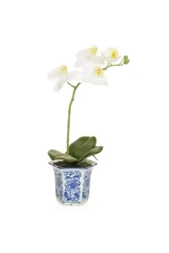 Artificial Orchid Display In Blue & White China Base