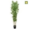 Artificial Oriental Bamboo - Flame Proof