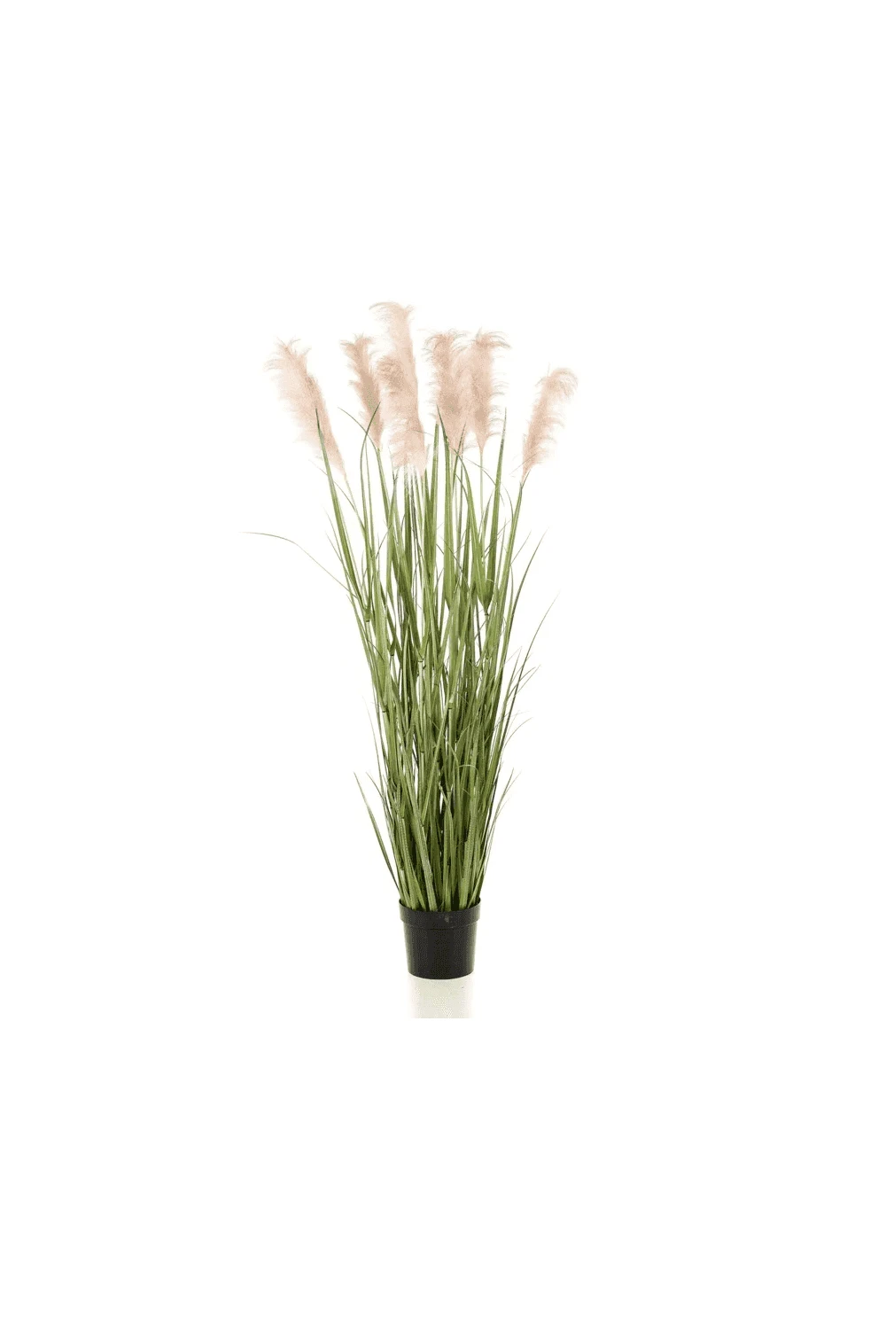 Artificial Pampas Grass 175cm 3 Artificial Pampas Grass 175cm