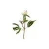 Artificial Peony Bud Stems Pack Of 3 1 Artificial Peony Bud Stems Pack Of 3 -Artificial Plant Shop the artificial plants shop artificial peony bud stems pack of 3 p288 634 image