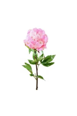 Artificial Peony Pink 80cm Pack Of 3