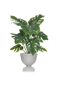Artificial Philo Plant Arrangement