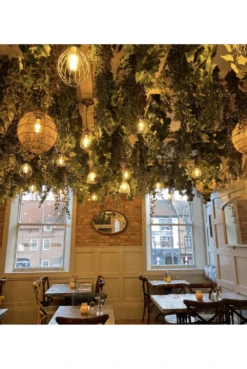 Artificial Plants Roof Hanging Display -Artificial Plant Shop the artificial plants shop artificial plants roof hanging display p927 2342 image