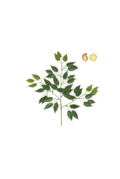 Artificial Plastic UV And FR Foliage