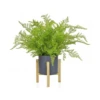 Artificial Potted Feather Fern 1 Artificial Potted Feather Fern -Artificial Plant Shop the artificial plants shop artificial potted feather fern p528 1201 image
