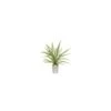 Artificial Potted Fern Bronze Rim Planter -Artificial Plant Shop the artificial plants shop artificial potted fern bronze rim planter p482 1124 image