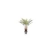 Artificial Potted Fern Plant 60cm -Artificial Plant Shop the artificial plants shop artificial potted fern plant 60cm p938 2440 image