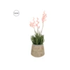 Artificial Potted Flowering Aloe Pink 2 Artificial Potted Flowering Aloe Pink -Artificial Plant Shop the artificial plants shop artificial potted flowering aloe pink p738 1691 image