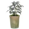 Artificial Potted Herb - Sage