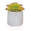 Artificial Potted Succulent 11cm Red/Green -Artificial Plant Shop the artificial plants shop artificial potted succulent 11cm red green p705 1631 image