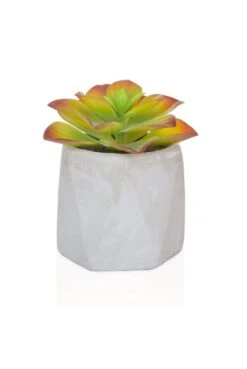 Artificial Potted Succulent 11cm Red/Green