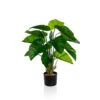Artificial Potted Taro Plant -Artificial Plant Shop the artificial plants shop artificial potted taro plant p780 2618 image