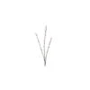 Artificial Pussy Willow Stem -Artificial Plant Shop the artificial plants shop artificial pussy willow stem p590 1437 image