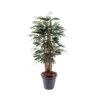 Artificial Raphis Palm Tree -Artificial Plant Shop the artificial plants shop artificial raphis palm tree p100 251 image