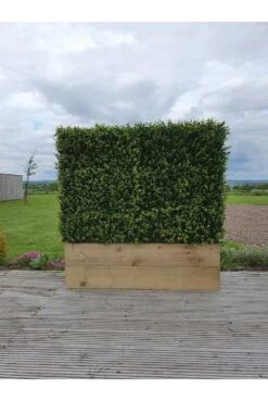 Artificial Ready Made Boxwood Hedge In Timber Trough