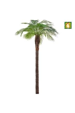Artificial Robellini Palm