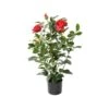 Artificial Rose Bush Red