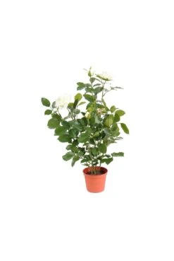 Artificial Rose Bush White