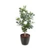 Artificial Rose Tree White 100cm -Artificial Plant Shop the artificial plants shop artificial rose tree white 100cm p331 749 image
