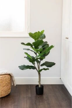 Artificial Single Stem Fiddle Tree -Artificial Plant Shop the artificial plants shop artificial single stem fiddle tree p591 2362 image
