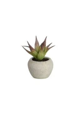 Artificial Succulent Arrangement C