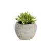 Artificial Succulent Arrangement D -Artificial Plant Shop the artificial plants shop artificial succulent arrangement d p208 601 image